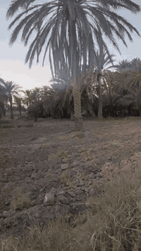 كاع خمسة دونم وبيت بيه غرفتين وصاله ومطبخ صيحيات اربعه متوفر بي كهرباء وماي اساله ميزانيه كاع بيه 40نخله و رمان 18نبكايه وتين وعنب وتكيه 18مشمشه بيه ماي برينه وماي اساله و كهرباء رقم ***********عنوان منطقة عزيز الله جاي من عزيز الله بكلوين يم مدرسه الزياتكاع خمسه دونم وبيت بيه غرفتين وصاله ومطبخ صيحيات اربعه متوفر بي كهرباء وماي اساله ميزانيه كاع بيه 40نخله و رمان 18نبكايه وتين وعنب وتكيه 18مشمشه بيه ماي برينه وماي اساله و كهرباء رقم ***********عنوان منطقة عزيز الله جاي من عزيز الله بكلوين يم مدرسه الزيات
