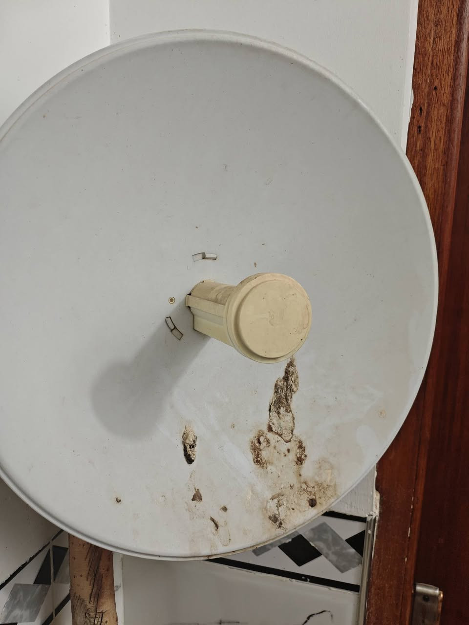 سلام عليكم صحن ما مستخدم هواي كامل ملحقاته وشغال واير 10مترات نحاس ولعوده مالته سعره 75مكاني ميسان الجبيسه


**إذا كنت صاحب هذا الإعلان وتريد حذفه لأي سبب، رجاءا أرسل رسالة إلى الدعم الفني**