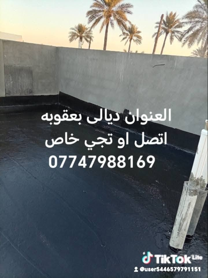 العنوان ديالى بعقوبة ليحب يتصل أو يجي خاص***********
