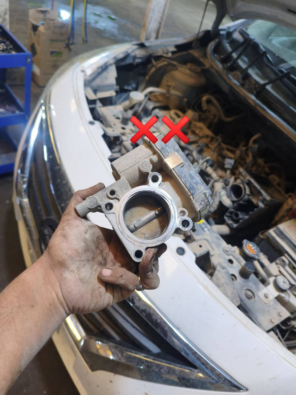 رمضان كريم وصيام مقبول 🌙🌺 
#صيانة سني هندي 2024 🇮🇳🇯🇵
- تبديل بلكات نوعية ممتازة 
- تنظيف النوزلات 
- تنظيف الچويتر 
- تنظيف غرف الأحتراق 
- تنظيف الحساسات 
العنوان 📍 الحلة الحي الصناعي الشارع العام 
للاستفسار الاتصال على الرقم ***********☎️
