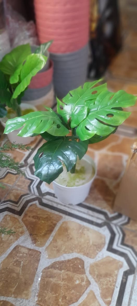 الأسعار اسفة الصور توصيل فقط
واتساب عروض خاصه اسعار مناسبه 
خدمه توصيل فقط واتساب***********
