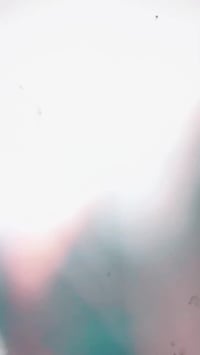 تايكر اوراق • 22 دراجه • بابل الحمزه الغربي