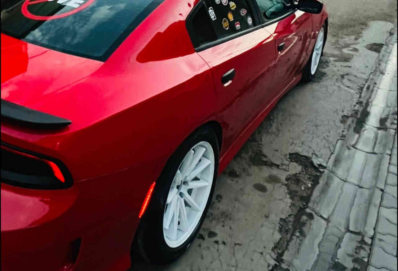 شعندك (ويـل)مراوس نزل   ويل فيراده 20 توسايز مكفول من كلشي مكاني بابل او نجف /حاليا مصبوغ اسود والبطن احمر
