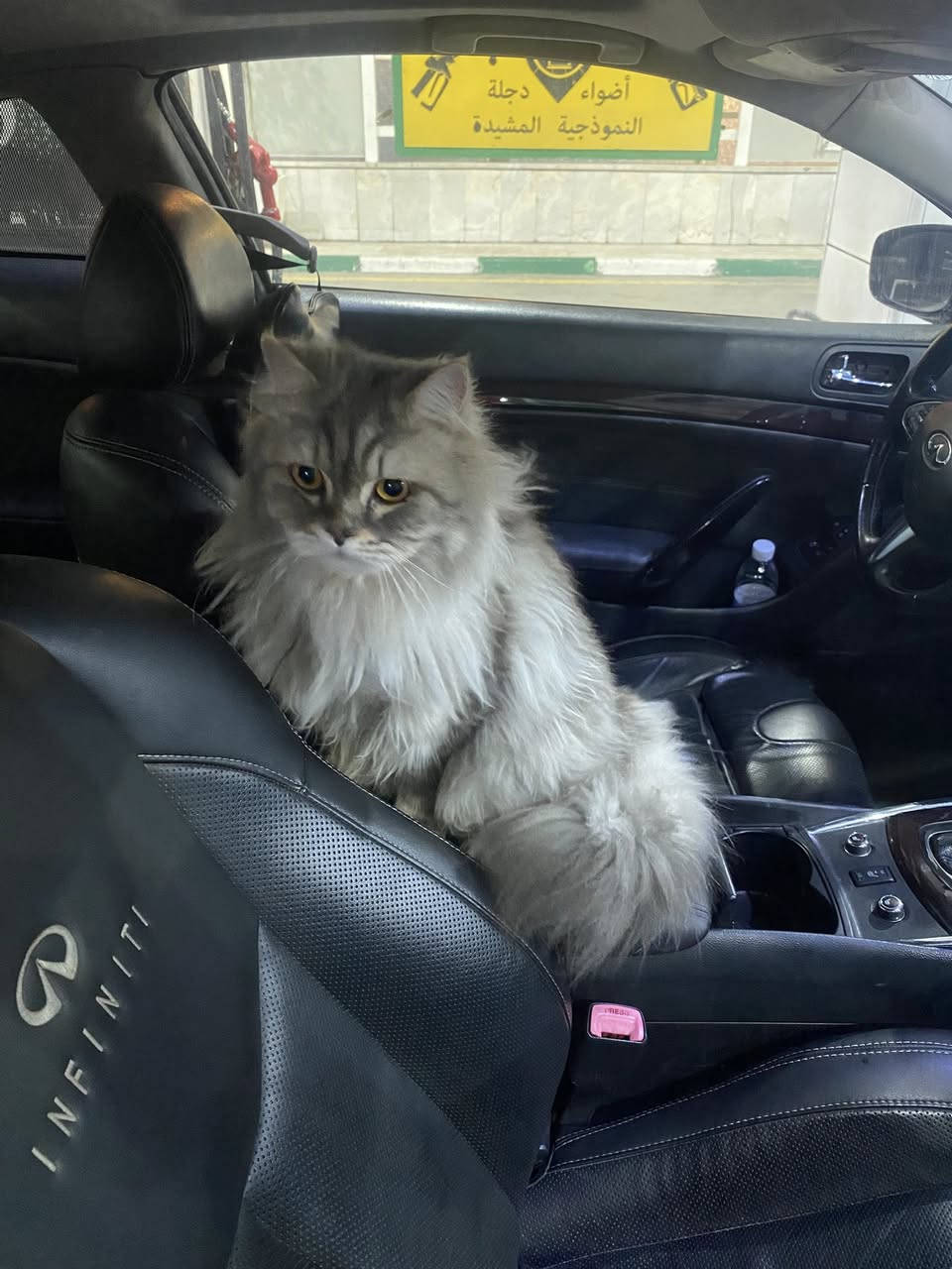 السلام عليكم للبيع G37 2013 السيارة مميزه جداً وعليها برمجه ايكوتك مال امريكا ومواصفات فول عليها داون بايب اصلي ودبات مال سوبرا Mk4 كسنات s وستيرن مال كيو 50  وعليها لايتات من امريكا كاصهن مال GTR اصليه ومميزه وعليها فلاتر لونك KN والسياره داخلها جديد وكلشي مجددين بيها وظفايرها وعقولها كلها مبدله بدون اي جطل والسياره اكسل قفل بمحرك 3700cc وكيرها 7 نمر تطلع فوك ال 350hp بوزن 1650 KG 'وعليها وياله تو سايز حجم 18 مال Z لون اسود وتايرات اصليه السياره كلشي مينرادلها تنكر سلف وتطلع ، السعر 125 مكان السياره بغداد . رقمي ***********
