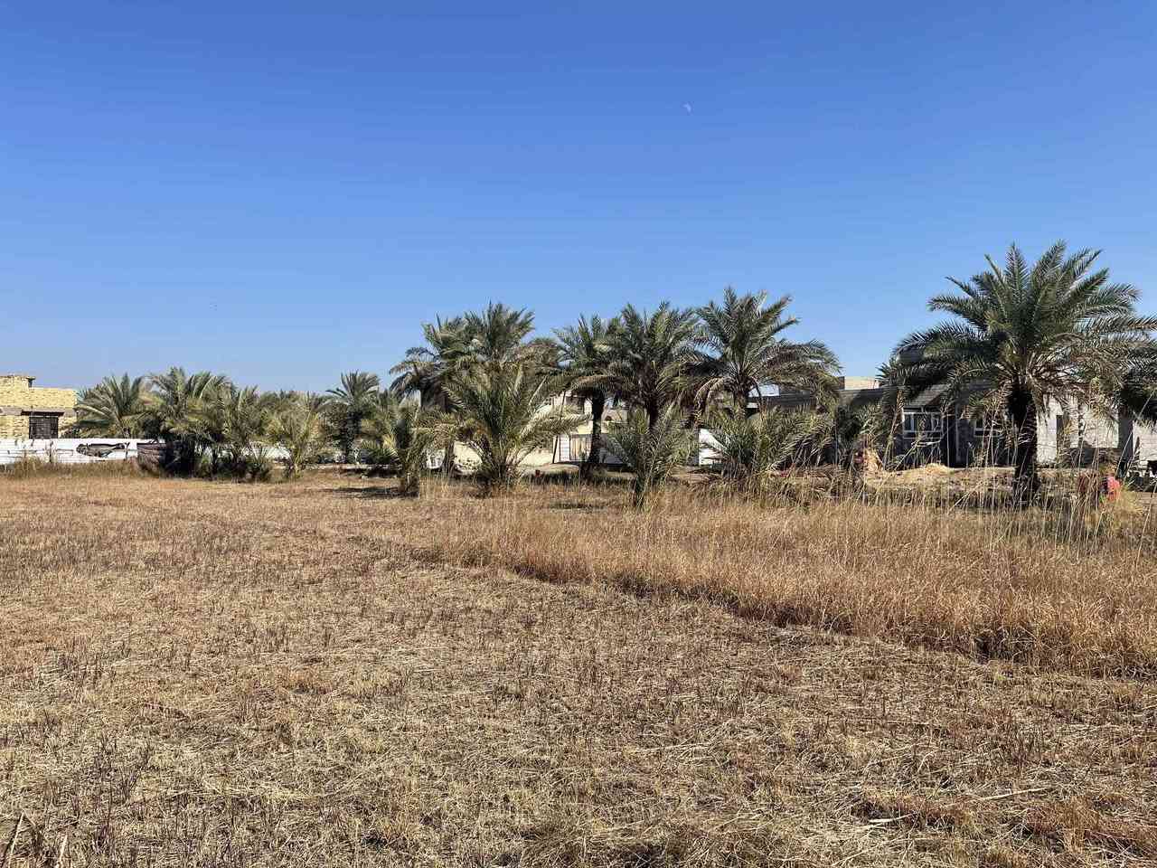 سلام عليكم دونمين ونص للبيع مع اربع ابيوت والخامس هيكل تبعد عن طريق حلّه كربلاء ٢٥٠ متر العنوان حله ابي غرق 
للاستفسار الاتصال ع الارقام 
***********
***********
