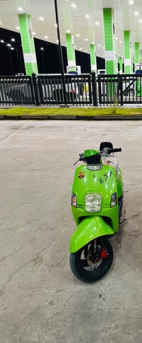 ماكس بوليس • بدون نقص • لون مميز