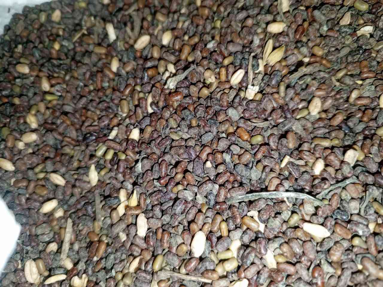 سيسبان للبيع موجود كميه
***********
