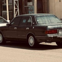 ارنب • ١٩٩٢ • خالي من الضرب