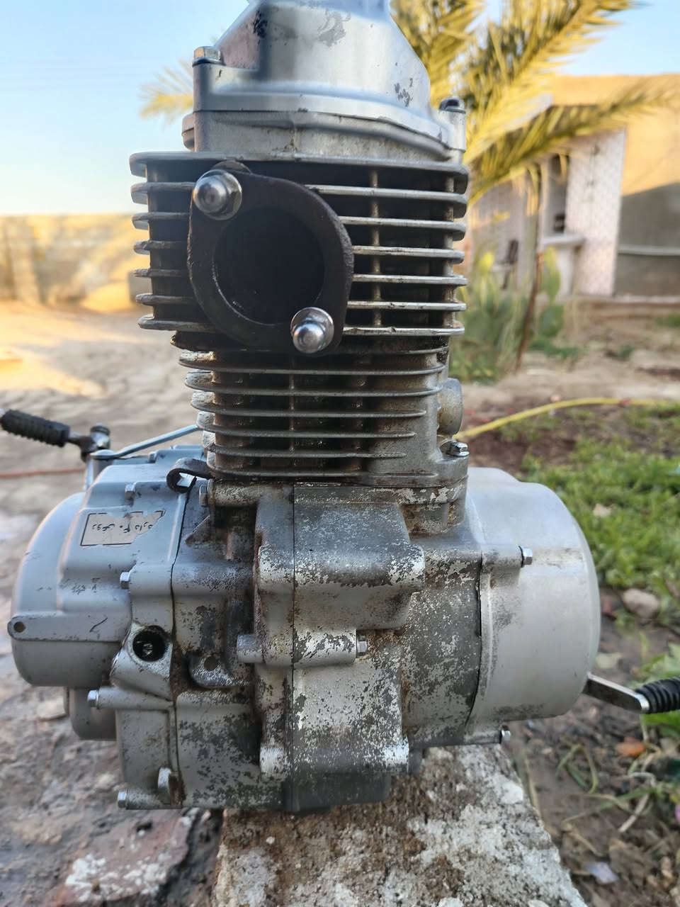 السلام عليكم
شباب محرك نامه متياز للبيع
من فوك هله هله من جوه يعلم
موديل 20 مشدوده ب 22 وهسه ردت ابيعه
راكضه وي خيل الحمزه
مفتوحه مره وحده
عليه شلعه وفصله تخبل
مكاني ميسان ع طريق الميمونه
قيم وخذ ب اليرضي الله
*********** واتساب
خاص موجود
