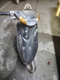 عصفورية • نضيفه • عوزه سلف