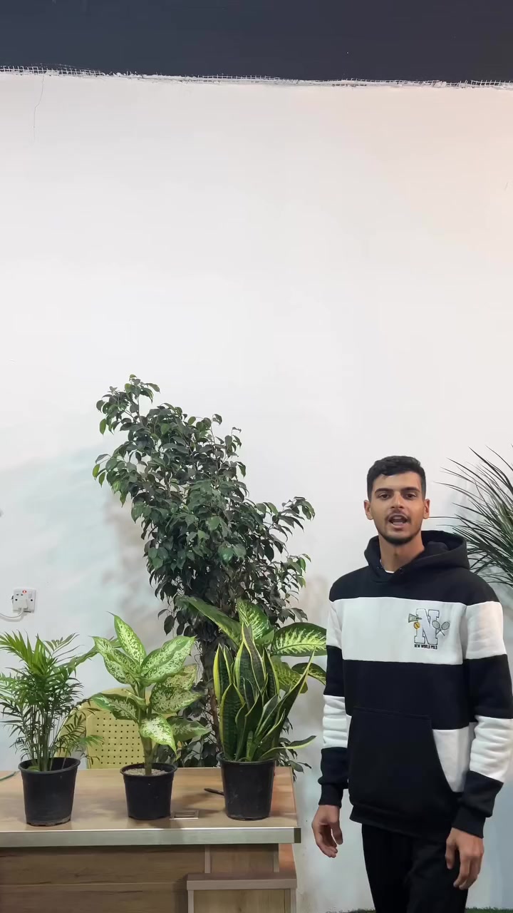 نبات الظل
عرض خاص🔥
الموقع📍
قرية الغدير مقابيل مطعم القرية
سعر العرض30الف فقط


**إذا كنت صاحب هذا الإعلان وتريد حذفه لأي سبب، رجاءا أرسل رسالة إلى الدعم الفني**