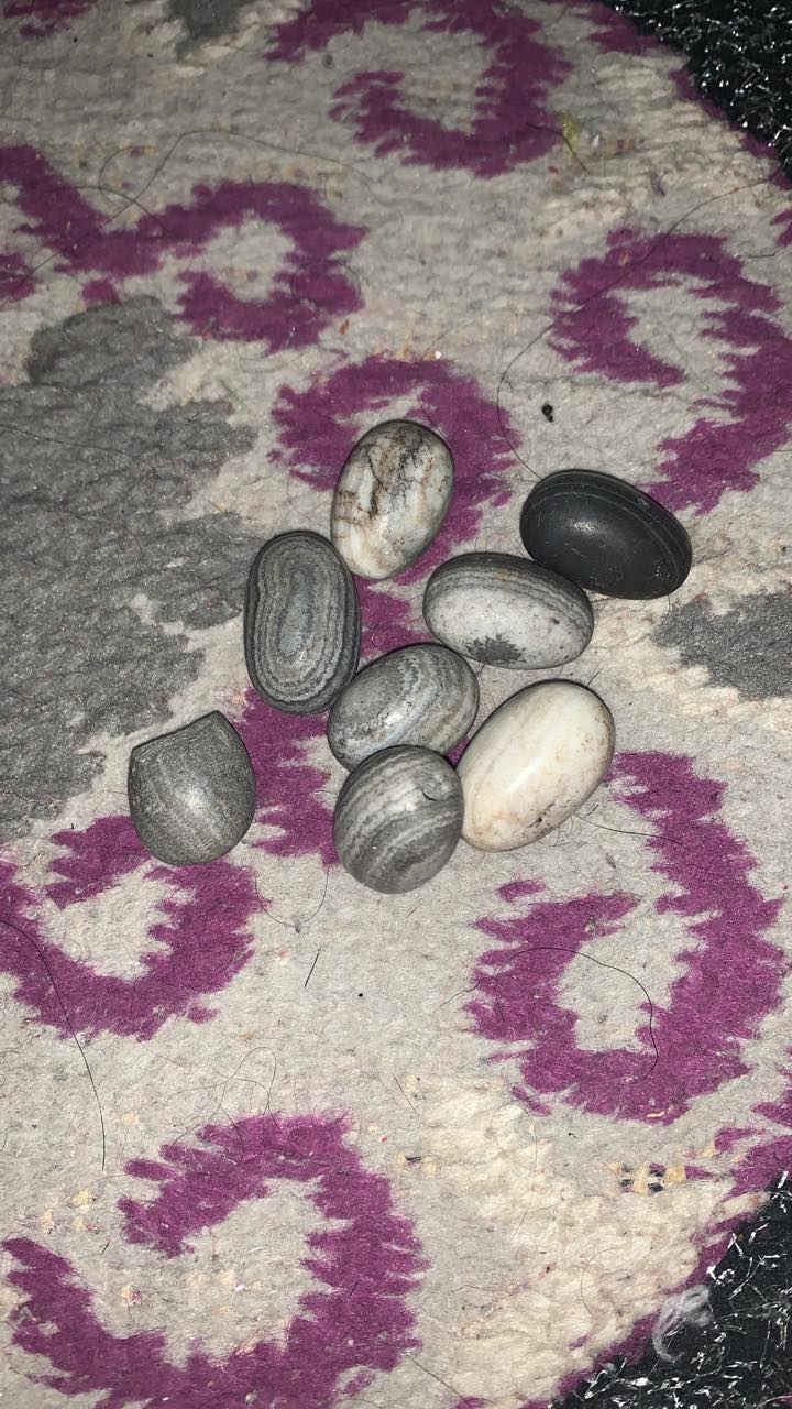 هذن معروضات للبيع


**إذا كنت صاحب هذا الإعلان وتريد حذفه لأي سبب، رجاءا أرسل رسالة إلى الدعم الفني**