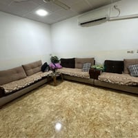 تخم قنفات • تركي • كركوك