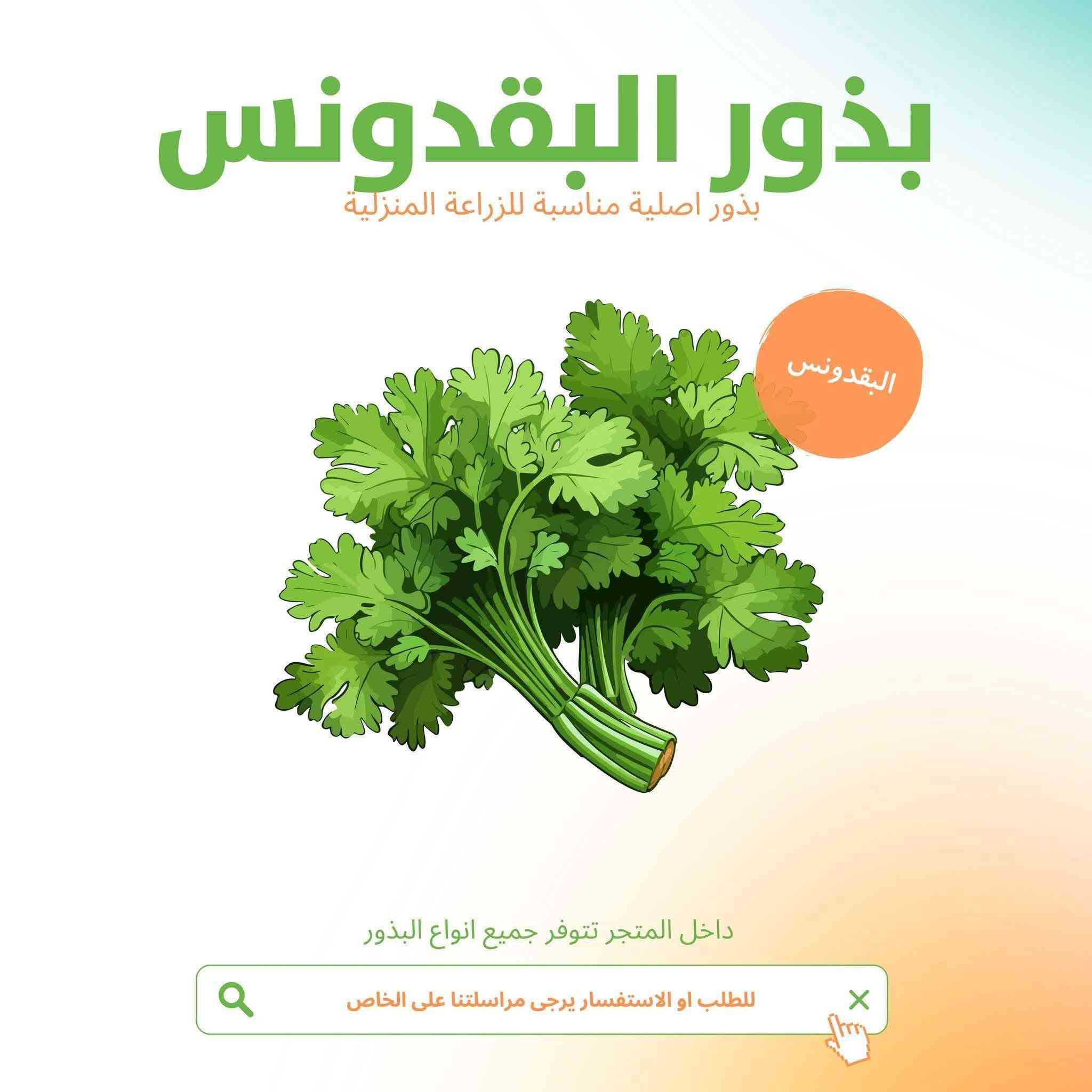 بذور ورقيات بسعر 3 آلاف


**إذا كنت صاحب هذا الإعلان وتريد حذفه لأي سبب، رجاءا أرسل رسالة إلى الدعم الفني**
