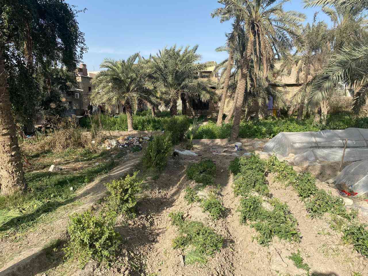 بستان في السراجي  مع دار كبير 300م لبيع مساحه الكليه 1800م الاستفسار عبر الارقام ***********
***********
