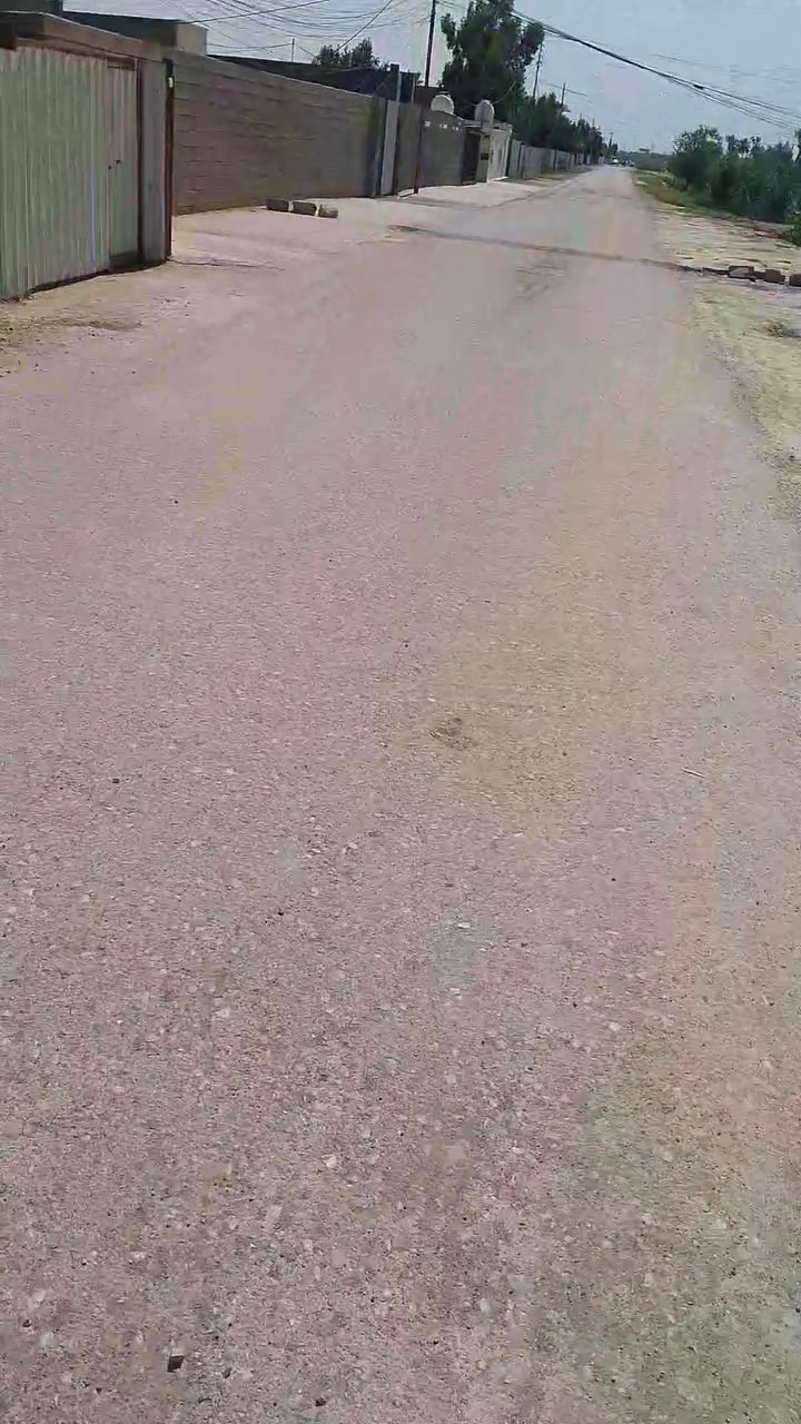 ***********
