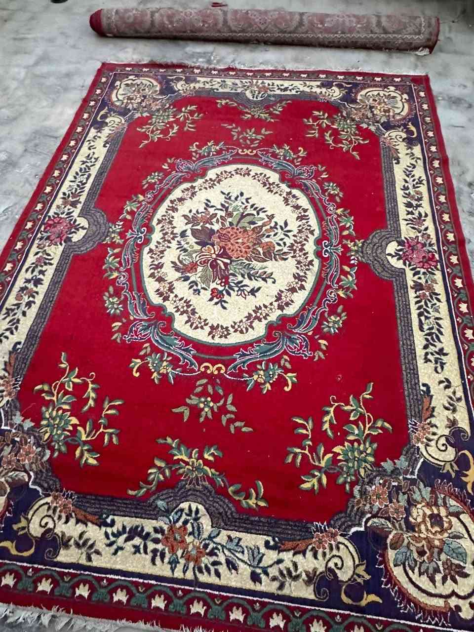 زوالي نضيفات كلش وجدد بس انريد انشيل وحته وديناهن للغسل المكان كربلاء السعر خاص وبيهن مجال للطيبين  رقم الهاتف واتساب ***********
