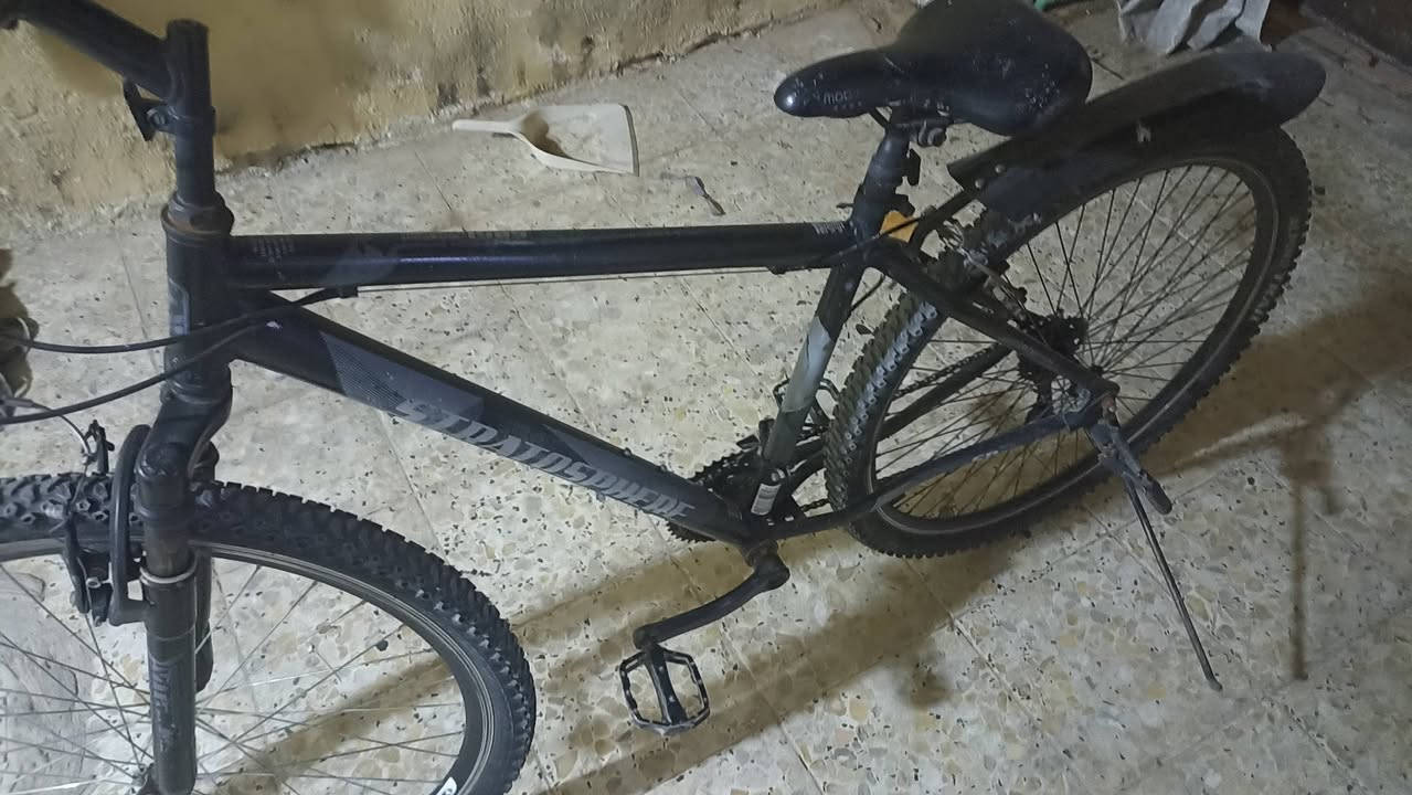 باسكل موديل 23للبيع بسعر 65الف وبي مجال 

راسلني واتساب فقط

***********
