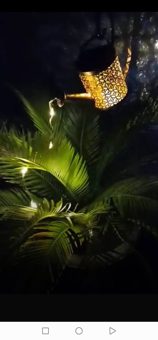 متوفر نشرات ولدات طاقه شمسيه عدد ابيعهم شلعه


**إذا كنت صاحب هذا الإعلان وتريد حذفه لأي سبب، رجاءا أرسل رسالة إلى الدعم الفني**