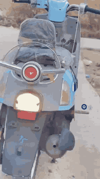 سلام عليكم بوليس لبيع لون سماي داخل رصاصي ختم واحد الدراجه برغي مامفتوح كفاله عامه
السعر 1100وبيه مجال حك الجيه
***********
