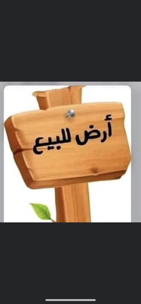 الديوم • ٢٢٥م • جامع حاجه رشيده
