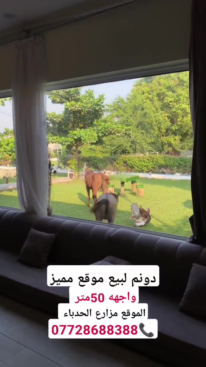 دونم لبيع موقع مميز ✨ 
المزارع الحدباء 
***********
