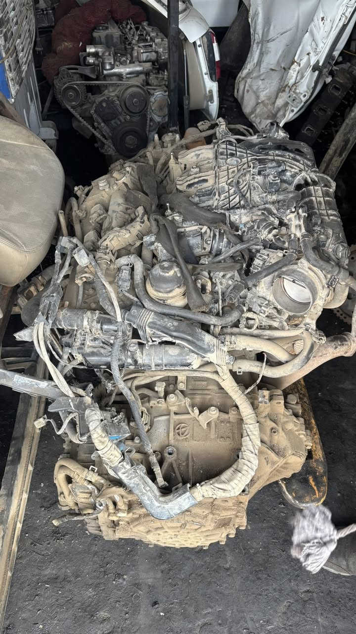 مكينه سورنتو 2015 هي وكيرها وضفيرتها والعقل للبيع
جاملغ مال خليجي اصلي 
وتلث وياله مثل هذا مال خليجي 
للاستفسار 
‭0783 219 4660‬
