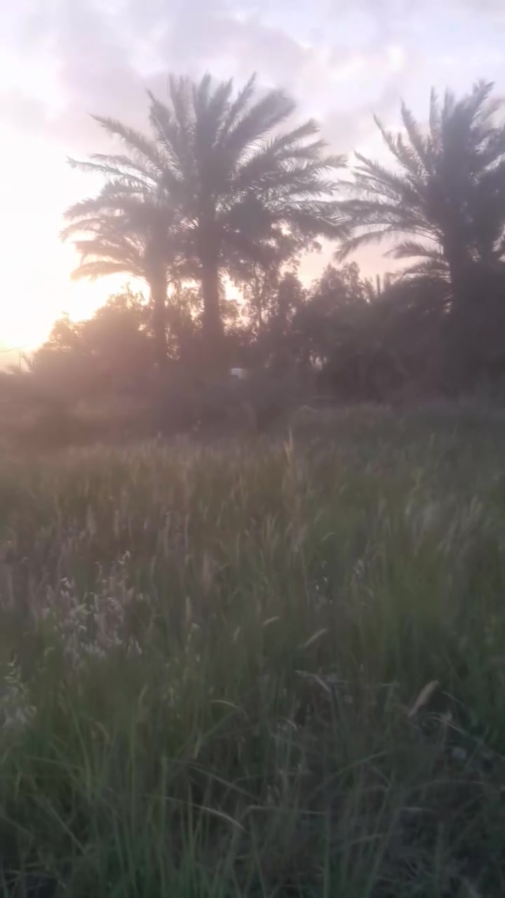 السلام عليكم ارض زراعيه للبيع عقد ١١٧ المساحه ٢دونم تصلح للزراعه والسكن خدمات ماء كهرباء تبليط مقابيل مشروع الوحده للاستفسار ***********
