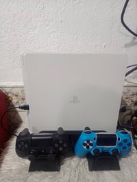 بلي٤ سلم • ريجن ياباني • يدتين