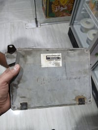 عقل مال بطه لبيع لتصال علي رقم 07722992629