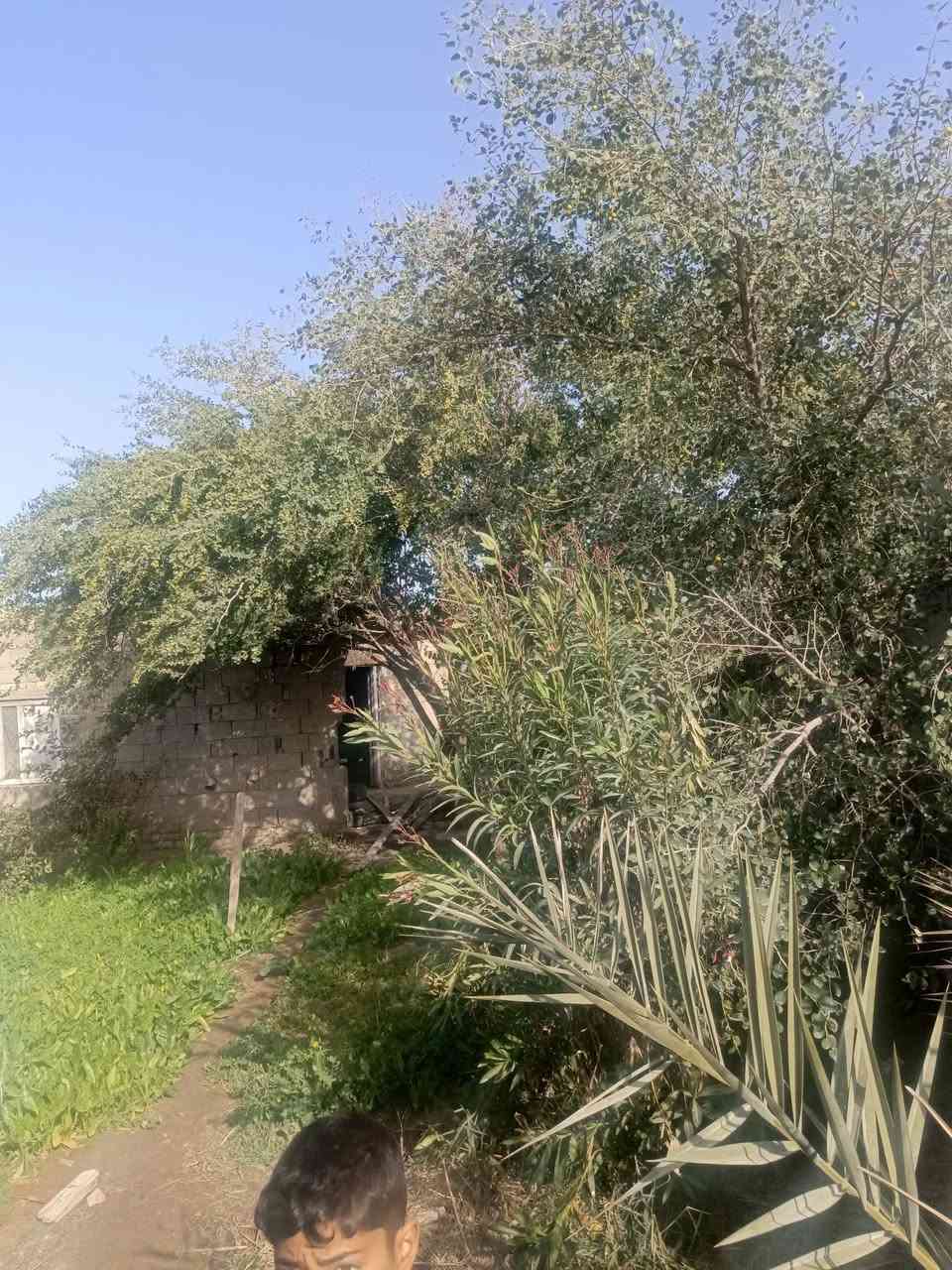 بيت زراعي للبيع الرفاعي صوب بني ركاب منطقة سيد مناحي قرب شارع ثلاثين المساحه 270متر السعر 15وبيه مجال للاستفسار الاتصال على الرقم التالي ***********
