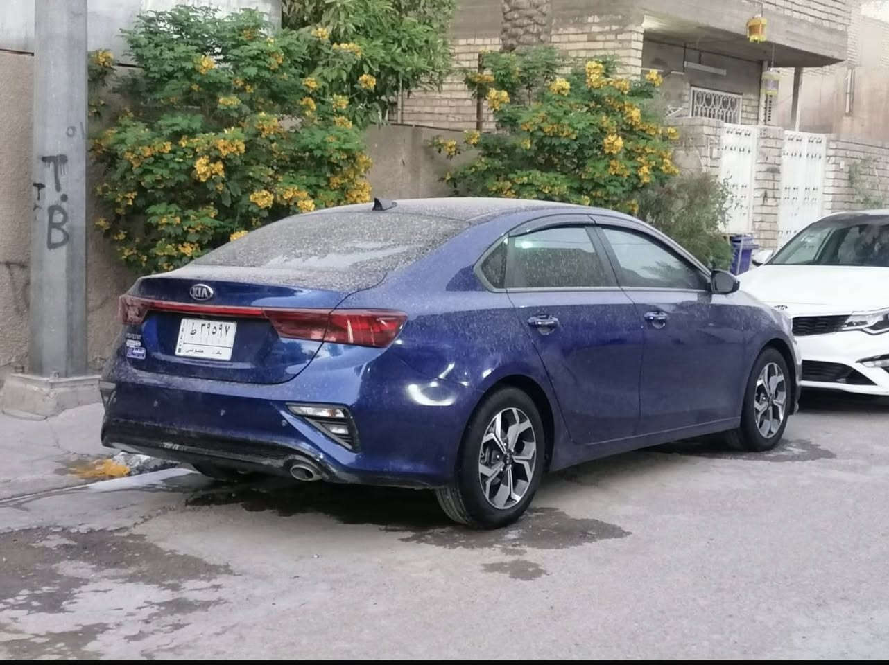 فورتي 2019 وارد امريكي حادثه جاملغ وباب خلفي سيارة جديدة كير ومكينة وصدر وتبريد خير من الله رقم بغداد بسمي السعر 127 للاستفسار ***********
