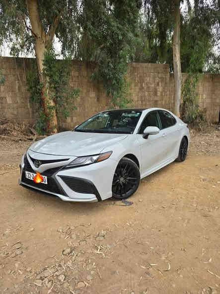 𝟐𝟎𝟐3 𝐓𝐎𝐘𝐎𝐓𝐀 𝐂𝐀𝐌𝐑𝐘-𝐗𝐒𝐄
تويوتا كامري (XSE) موديل : 2023
وارد : امريكي
اللوان :  سمنتي المرغوب احلى لون بالكامري 
عداد المسافة٣٢٠٠٠.Mile
حجم المحرك : 2.5L (4.سلندر) 
ملاحطة السيارة : جاملغ خلفي صبغ  وباب خلف تبديل فقط
كافة الايرباكات سليمة %100
المواصفات 🔚 𝐗𝐒𝐄
فول فول مواصفات 1/1
فتحة سقف باورما
داخل ليد بيلادي
كيج الكتروني
شاشة كبير لمس
شاشة اعطال كبيرة 
شحن واير ليس
كاميرا 
ابواب  بصمة
بصمة تشغيل 
تشغيل عن بعد (𝐑𝐄𝐌𝐎𝐓𝐄 𝐒𝐓𝐀𝐑𝐓)
هاند بريك بصمة
اوتو هولد (𝐀𝐔𝐓𝐎 𝐇𝐎𝐋𝐃)
اوتو ستارت (𝐀𝐔𝐓𝐎 𝐒𝐓𝐀𝐑𝐓)
اوتو ستوب (𝐀𝐔𝐓𝐎 𝐒𝐓𝐎𝐏)
رادار امامي (تحديد مسار)
‏‎رادار جانبي (نقاط عمياء)
‏‎رادار خلفي (التحذير من الاصطدام)
‏‎حساسات امامي
‏‎حساسات جانبي 
‏‎حساسات خلفي 
نظام (𝐄𝐂𝐎)
نظام (𝐍𝐎𝐑𝐌𝐀𝐋)
نظام (𝐒𝐏𝐎𝐑𝐓)
مانع انزلاق+𝐀𝐁𝐒
تحكيم استيرن
كشنات جلد
كشنات كهربائي
كشنات هيتر
سيارة جديدة دينار مصرف ماتحتاج 
سعر ٢٦٠ بي مجال بسيط للجادين
مكانها الموصل
*********** موصل
