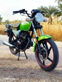 شانك • موديل 2025 • أوراق كاملة