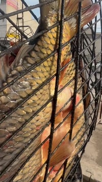 تسر ادارة مطعم زيونه ان تهنئكم بحلول عيد الفطر المبارك بعد انقضاء الشه...