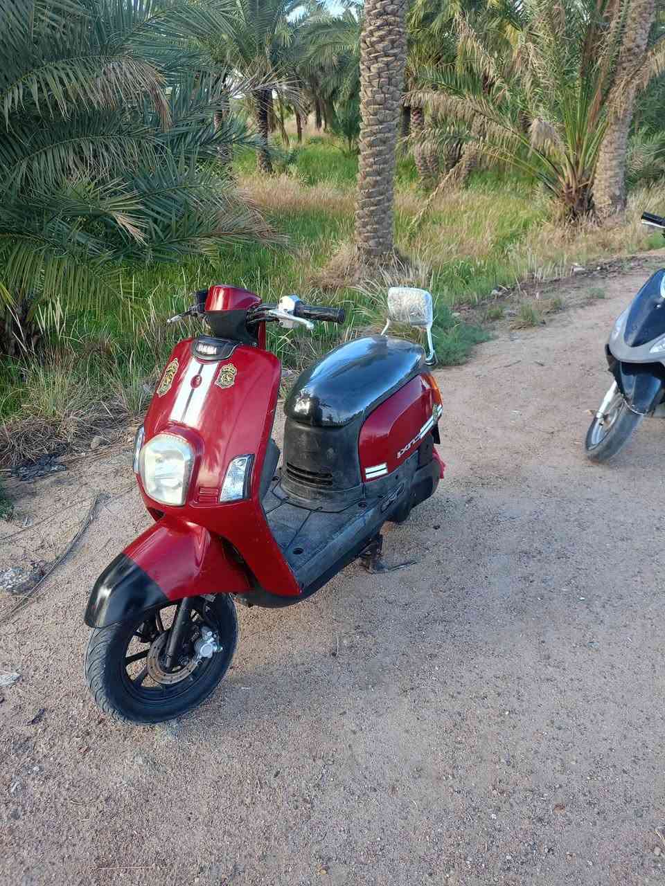 دراجه للبيع نوزل حاويه شرط الفحص
مكاني سوگ الشيوخ العكيكه  السعر خاص رقم مبايل 
***********  واتساب
