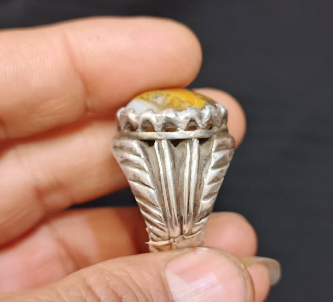 داوودي للبيع بغداد ***********
