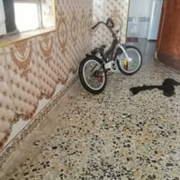 باسكل • حجم ١٦ • نظيف