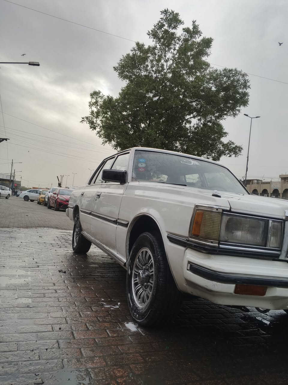 سلام عليكم سوبر مديل 82 رقم نكليزي بغداد بسمي تحويل ثاني يوم سيارة مصبوغة داير للجماليه قمارة وبنيد وضع شركه ما مصبوغات سيارة سنتر لوك أربع ابوب عن بعد تتقفل مكينه m5 بلادية وكير بلاد 5نمر خير من الله جعمقة جديدة باور جديد تخم تاير جديد ويل كب سيارة زرف خياس مابيها كلها ملگطيها مال جناي غرفتها خير من الله وصور تسولف كهربايات كلها شغاله بيها نقص كمبريسر وراديتر تبريد فقط صوندات وبوري موجودات فإن موجود حتى القبق مال دركه موجود قاعدة الكمبريسر موجود مكان بغداد مدينه الصدر قطاع واحد سعر 50وبيها مجال بسيط رقم الهاتف 
***********
@
