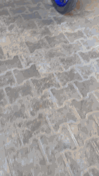 السلام عليكم
دراجه ماكس عدله للبيع 

مكينه بلاديه ٤٩ 

الدراجه خير من الله 

بيها قطر+بيها قبق هندر+ يدات توبو+ 

وبعد بيها هواي شغلات حلوه 

( مكان الدراجه الطوبجي شارع ١٤رمضان***********
450بيها مجال
