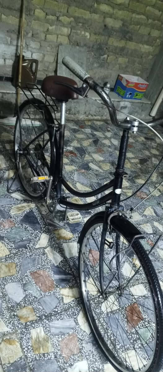 السلام عليكم بايسكل للبيع حجم 26 السعر 40 وبي مجال بيع فوري العنوان الداخل قطاع خمسه سوق الاولى قرب طاطله ابو غفران والاستفسار على الصفحه على الخاص


**إذا كنت صاحب هذا الإعلان وتريد حذفه لأي سبب، رجاءا أرسل رسالة إلى الدعم الفني**