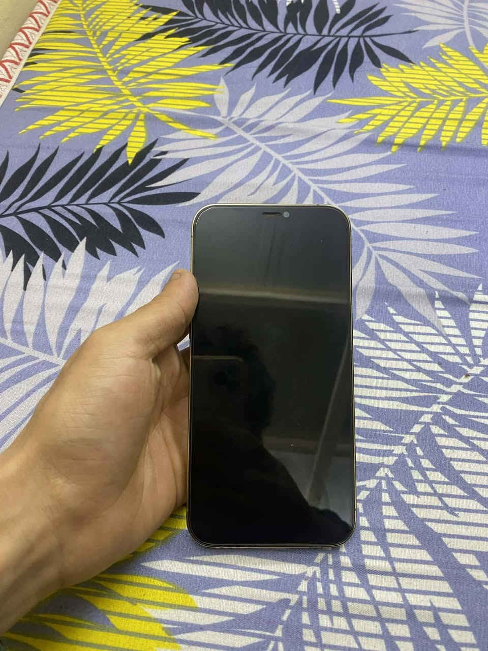 ايفون 12 برو ماكس جهاز جديد
العنوان بغداد دوره الشرطه 
السعر 500 بي مجال. 
الرقم ***********
