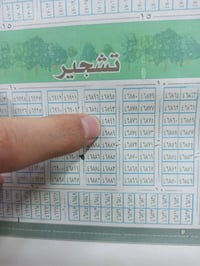 عرصه • حي النداء • ٣٠٠م