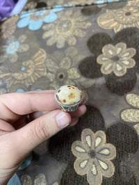 قفل • توصيل • من الاخير