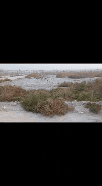 🔸 معروض للبيع قطعة أرض مميزة 🔸 قطعة أرض للبيع 📍 سند 25 زراعي – تحويل م...