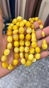 كهرب بولندي • شجري • ٦٣غ ٣٧حبه