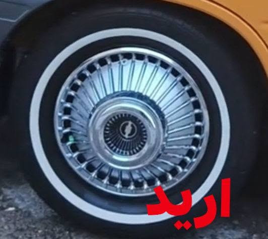 كبات سايبه شاخه مراوس بذني او بيع سعر 50  مكاني كوت


**إذا كنت صاحب هذا الإعلان وتريد حذفه لأي سبب، رجاءا أرسل رسالة إلى الدعم الفني**