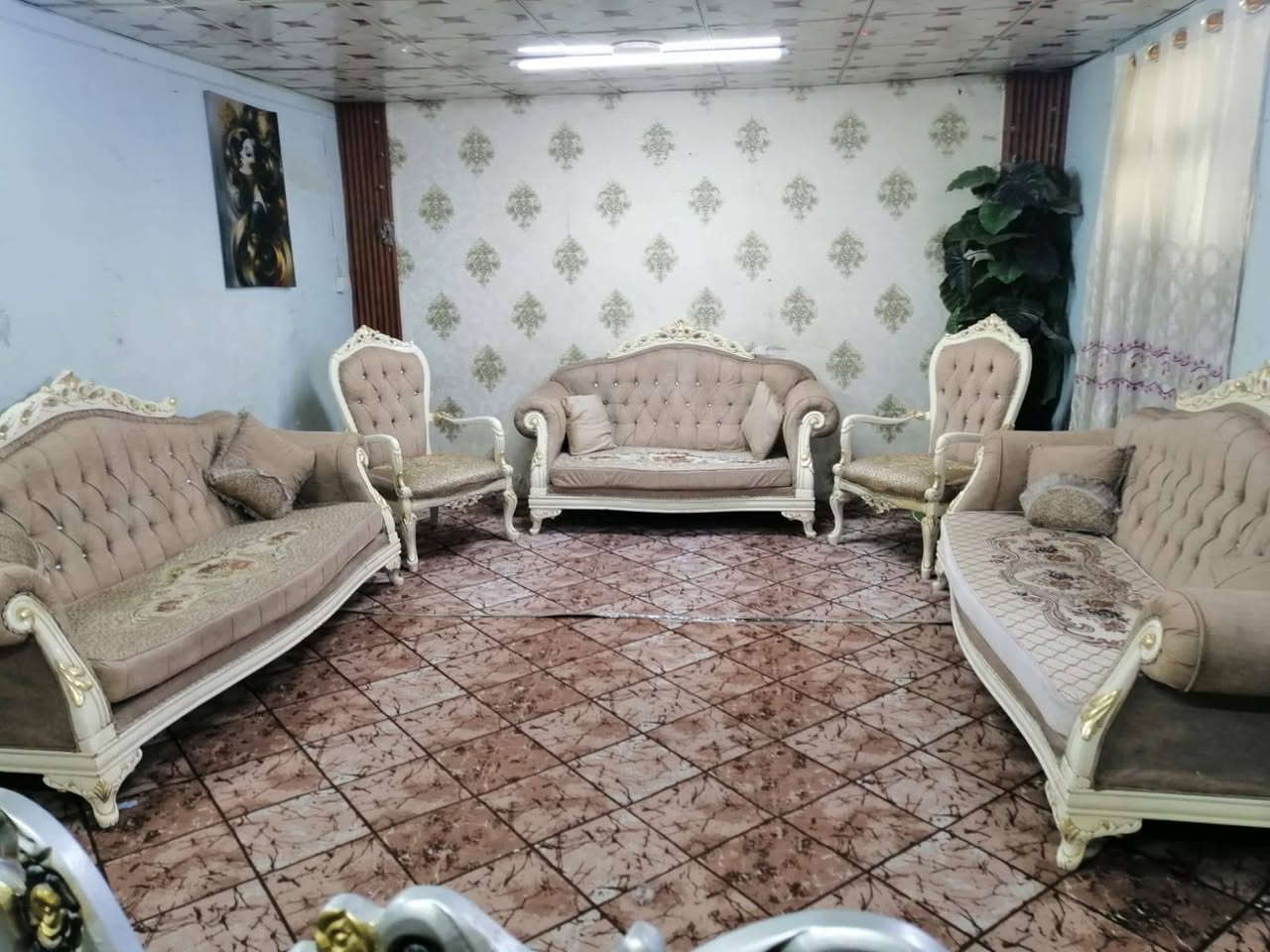 تخم زان تركي 10 نفرات نضيف 360 المكان الكاظمية يوجد توصيل ***********
