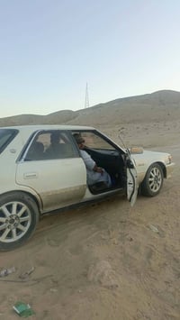 شيزر • ٩٢ • كفاله عامه