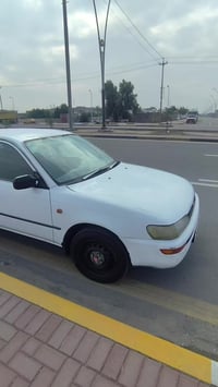 كورلا بغداد • باسمي • بدون تبريد